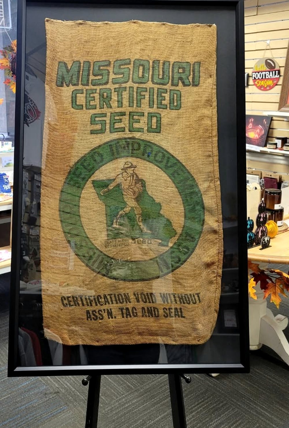 A Missouri Certified Seed burlap sack mounted flat inside a deep black box frame, standing on an easel in a framing shop.